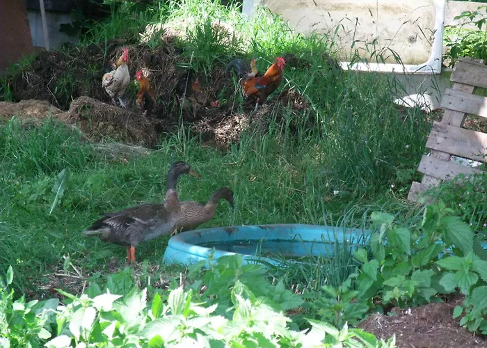 Knollhof Рамзау